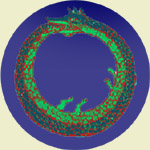 ouroboros