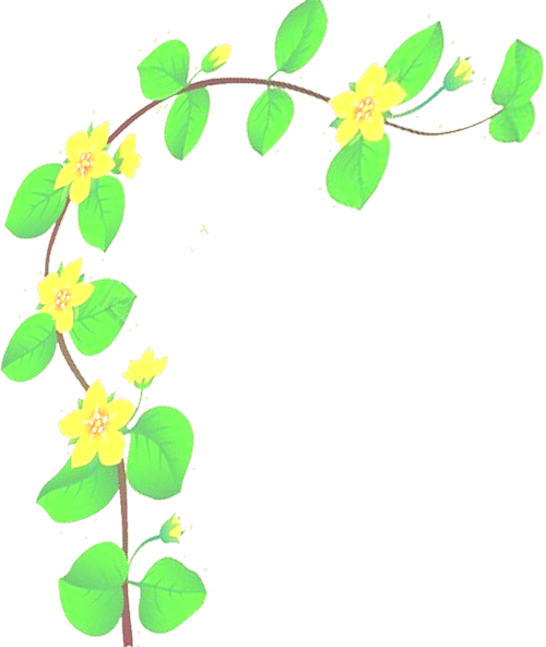 spring leaves
